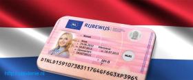 Получите вид на жительство здесь.