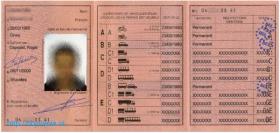 Получите вид на жительство здесь.