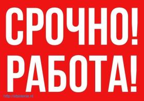 УДАЛЕННАЯ РАБОТА С ЛЮБОЙ ТОЧКИ МИРА.